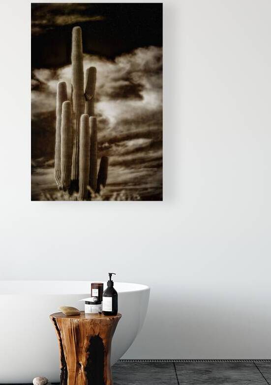 Majesty in Sepia Skies by Dream World Images