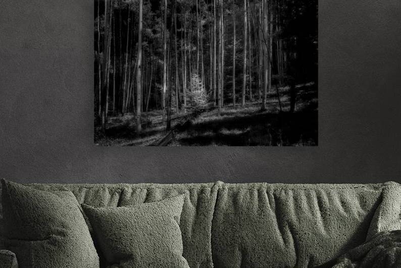 Infrared Luminescence on Artist Road by Dream World Images