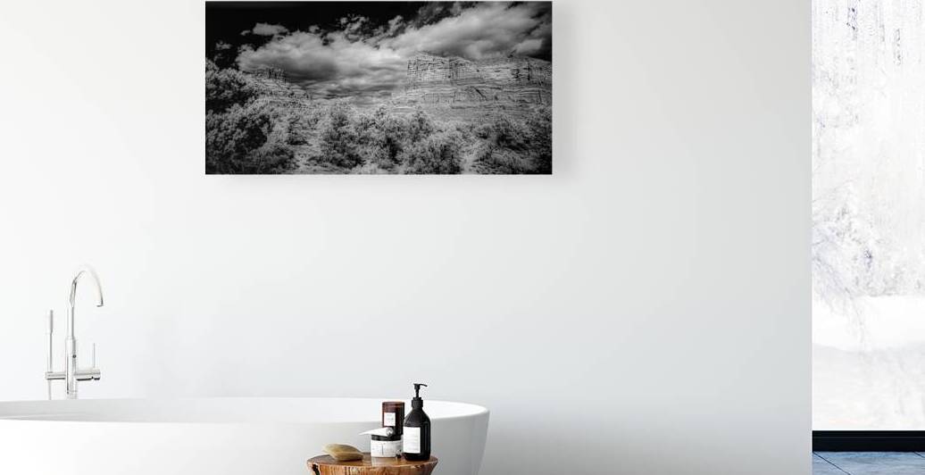 Desert Majesties in Monochrome by Dream World Images