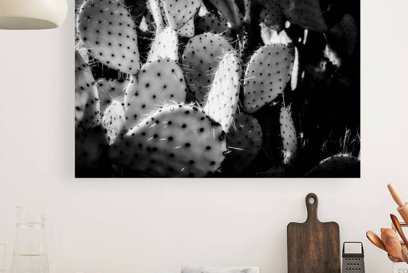 Textures of the Desert by Dream World Images