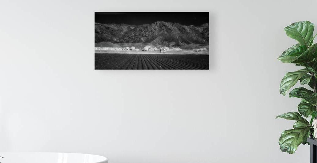 Fields of Infinite Solitude by Dream World Images