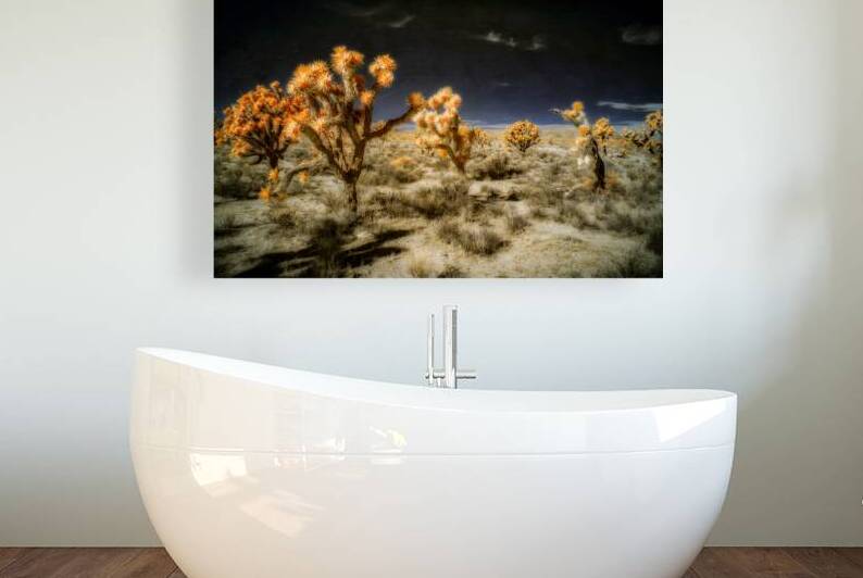 Joshuas Celestial Canopy by Dream World Images