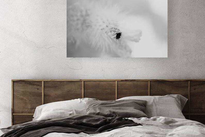 Prickly Veil by Dream World Images