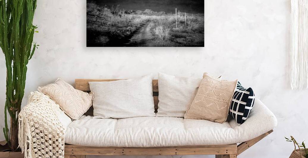 Echoes of Silence Across the Horizon by Dream World Images