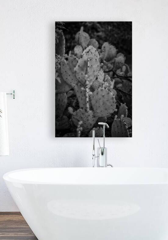 Textured Prickles by Dream World Images