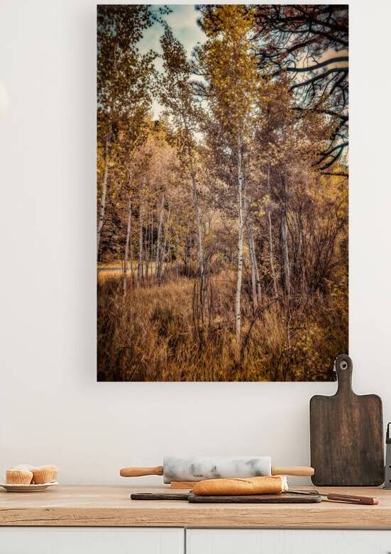 Serenade of Fall Foliage by Dream World Images