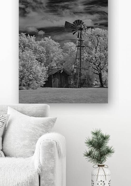 Solitude in Timber and Whee by Dream World Images