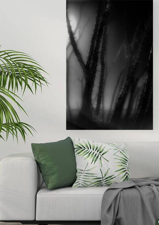 Shadows Weave Through Thorned Spire by Dream World Images