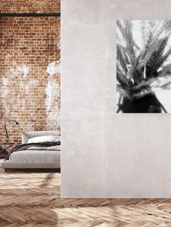 Prickly Dance on a Blurred Canvas by Dream World Images