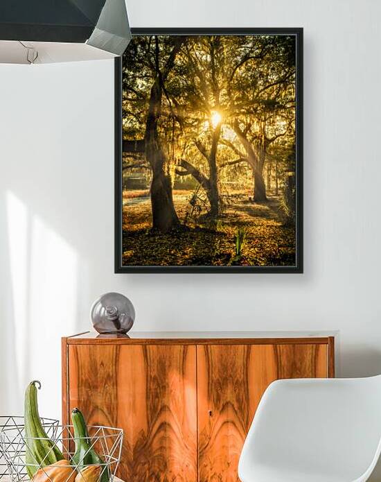 Golden Oak Light by Dream World Images