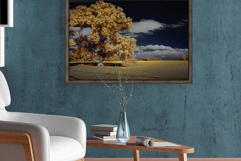 Golden Sentinel by Dream World Images