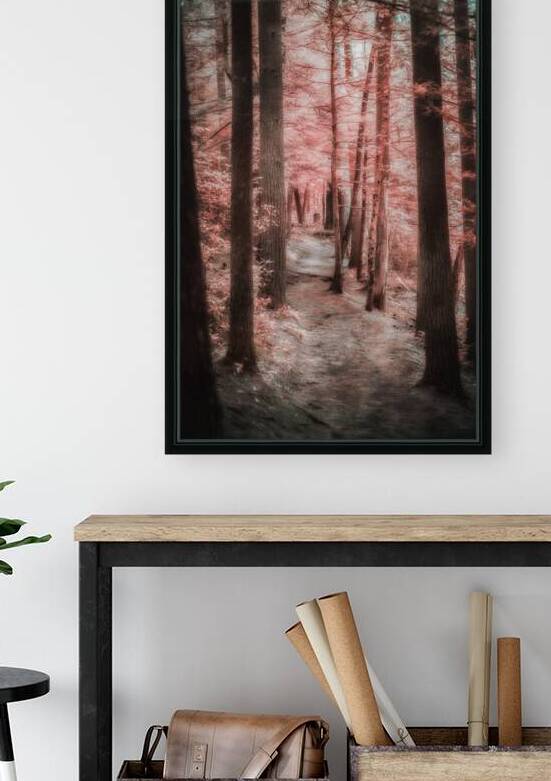 Mystical Forest Walk by Dream World Images