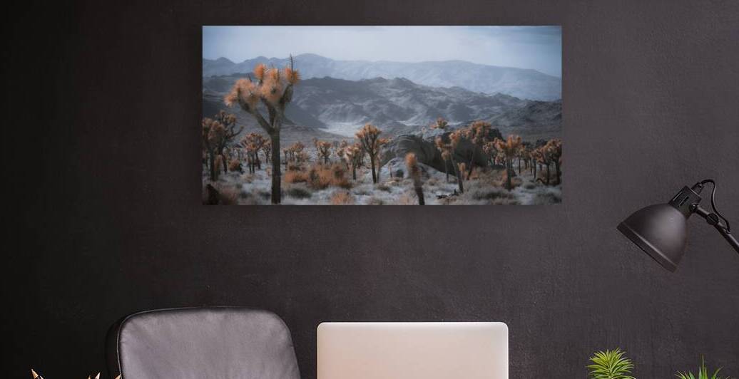 Deserts Spiky Palette by Dream World Images