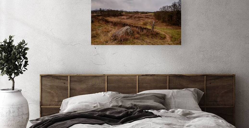 Silent Stones: Devils Den Winter by Dream World Images