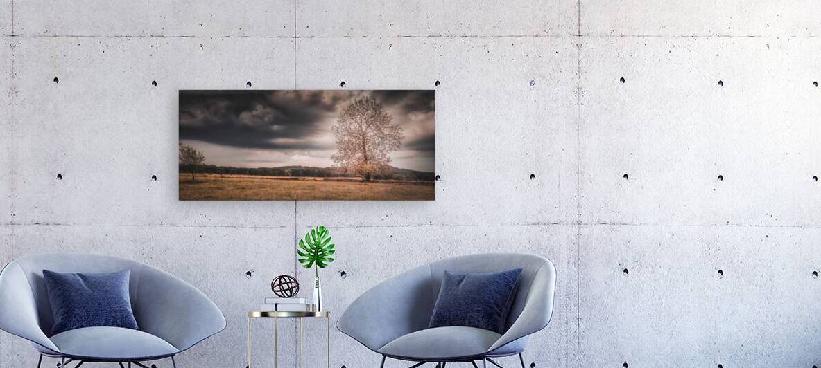 Lone Tree Storm by Dream World Images