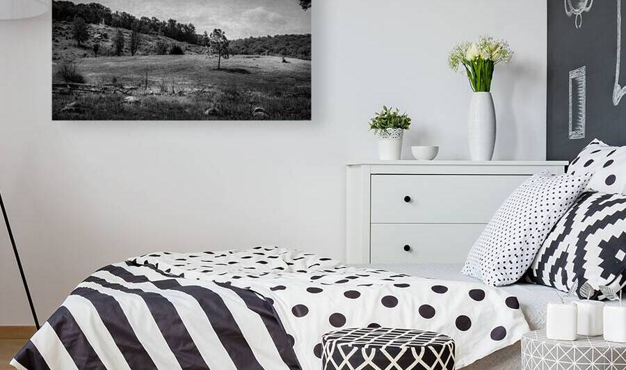 Echoes of Conflict: Little Round Tops Peaceful Remnants by Dream World Images