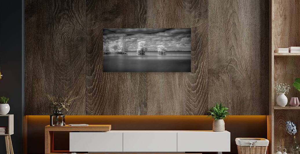 Off Shore Bald Cypress by Dream World Images