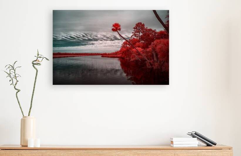 Exploring Bulow Plantation: A Romantic Stroll Reveals a Crimson  by Dream World Images