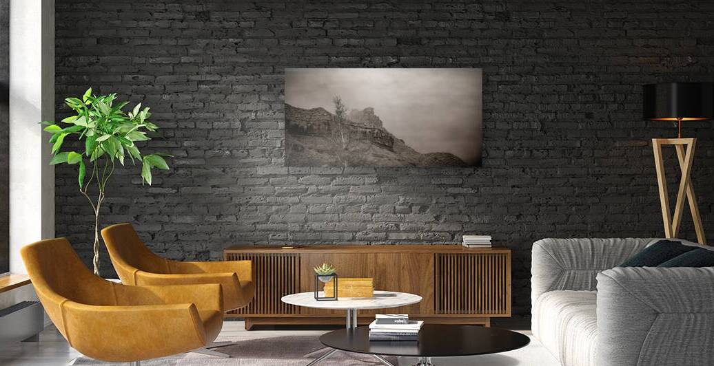 Desert Sentinel Mists by Dream World Images