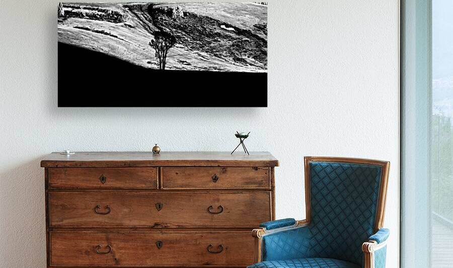 Solitary Sentinel by Dream World Images