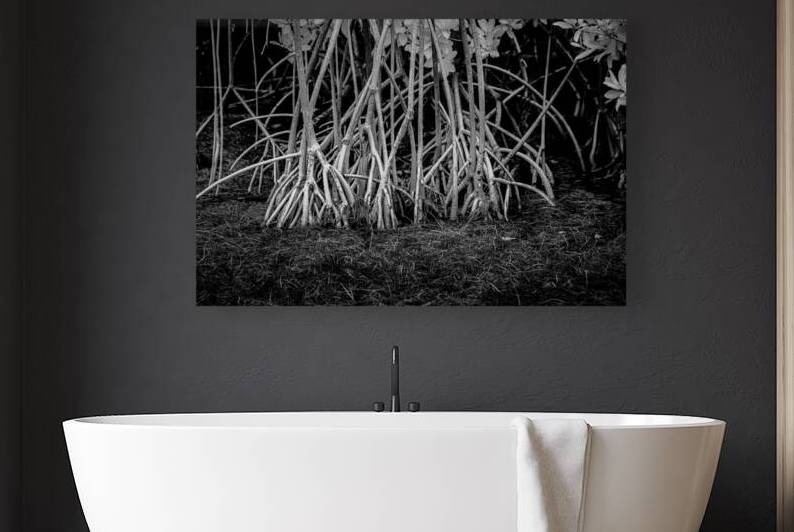 Enchanting Mangrove Tapestry: A Dance of Light and Shadows by Dream World Images