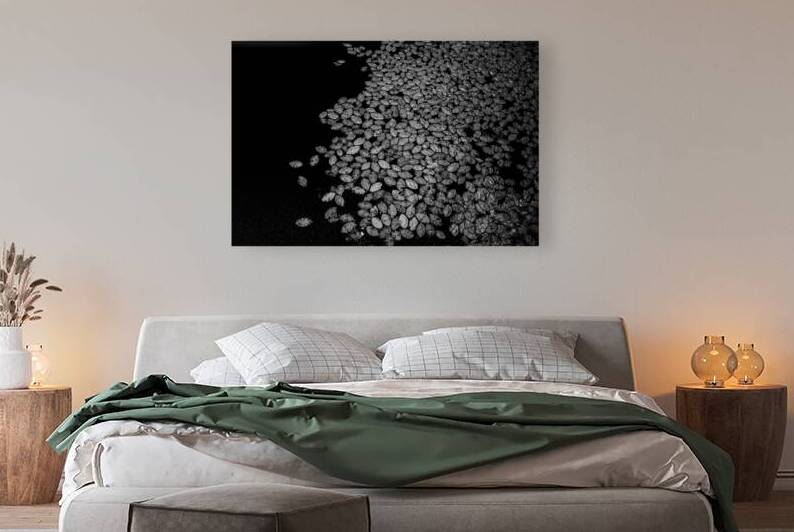 Lily Pad Dance by Dream World Images