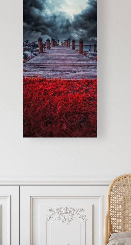 Storms Dance: A Memorable Infrared Moment on Brooms Island Maryl by Dream World Images