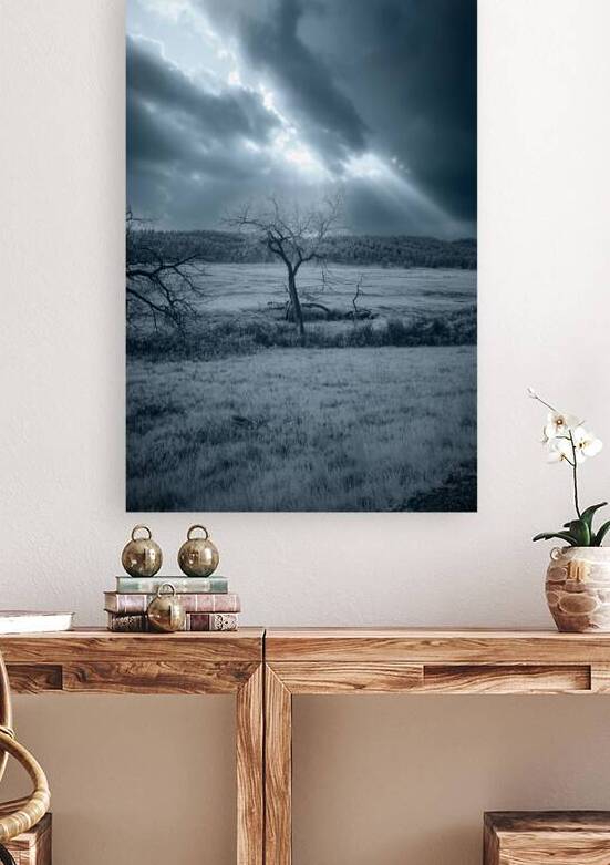 Solace in Solitude: A Blue Lighted Tree in Infrared by Dream World Images
