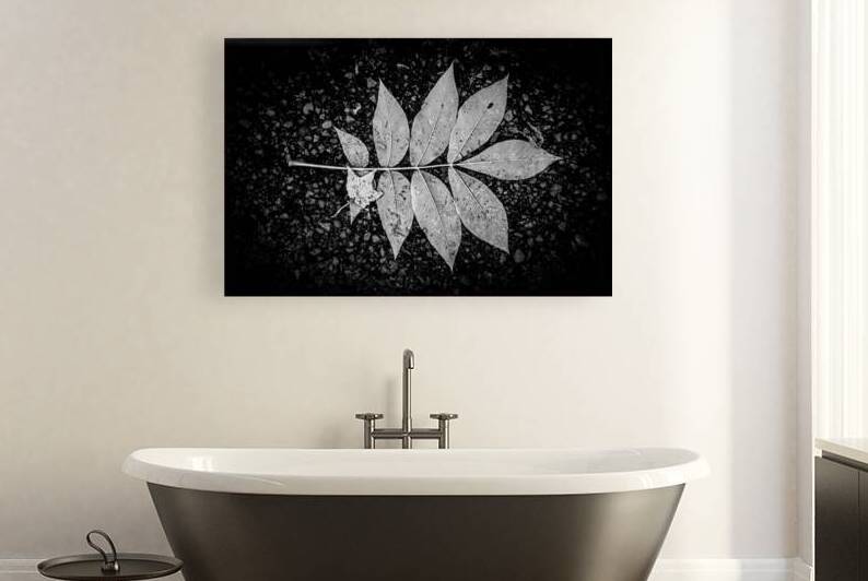 Autumns Solitude: Single Leaf Portrait by Dream World Images