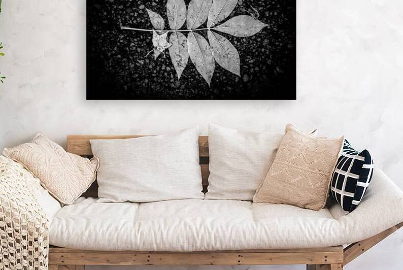 Autumns Solitude: Single Leaf Portrait by Dream World Images