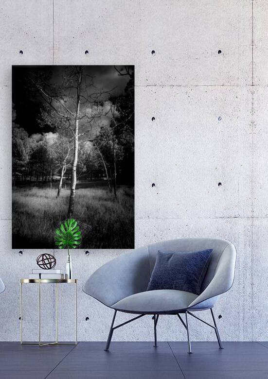 Aspen Reverie: Ansels Inspiration by Dream World Images