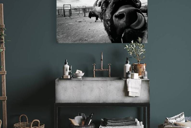 Hello! by Dream World Images