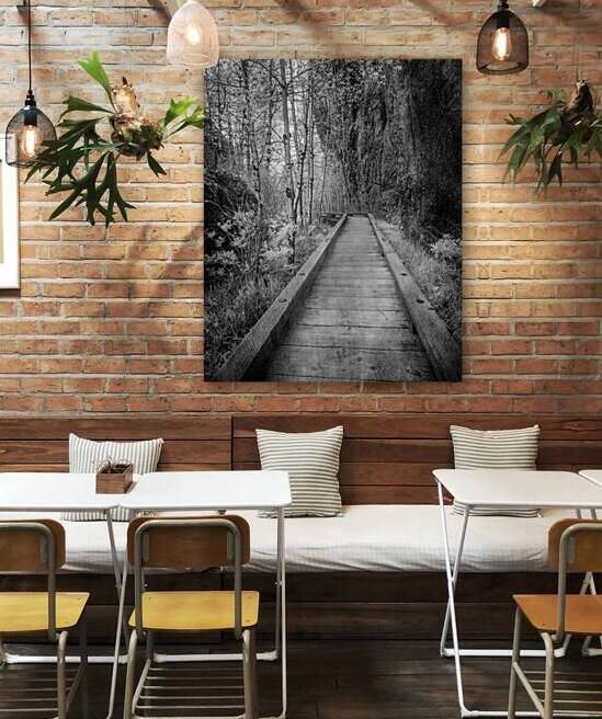 Mystical Journey: Sylvan Lake Wooden Trail in Infrared by Dream World Images