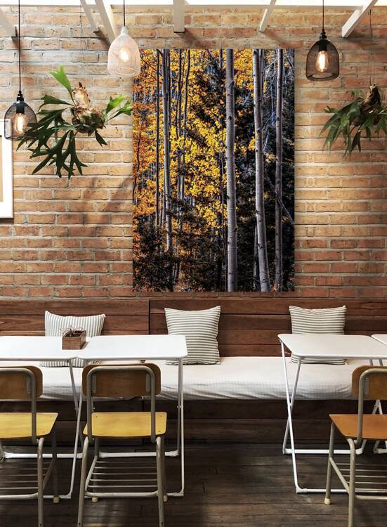 Warmth Amidst the Shadows by Dream World Images