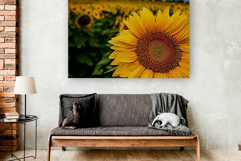 Corner Sunflower: A Radiant Touch of Natures Beauty by Dream World Images