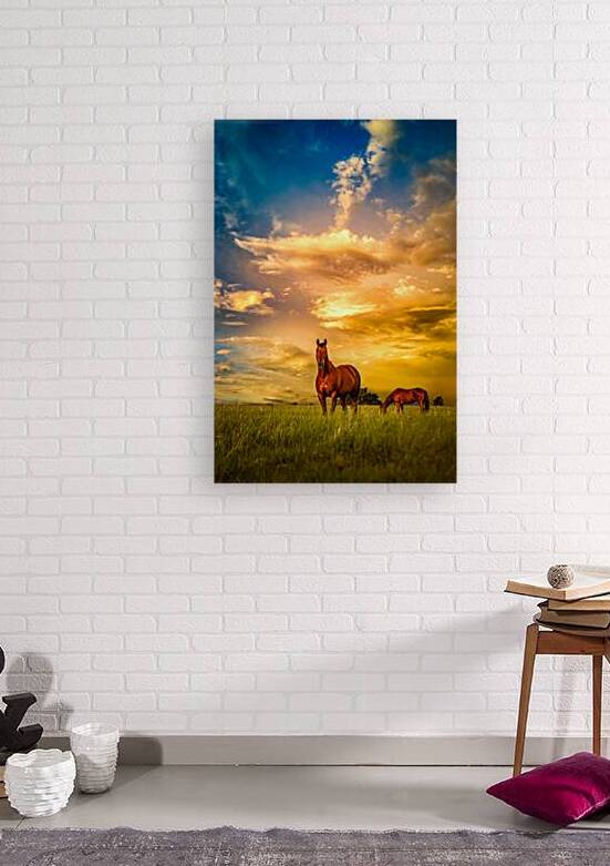 We Call Him Ernie: A Montana Ranch Tale by Dream World Images