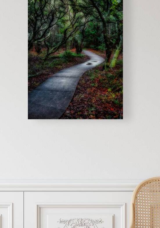 Melancholy Path by Dream World Images