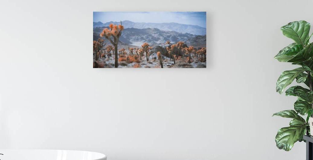 Deserts Spiky Palette by Dream World Images