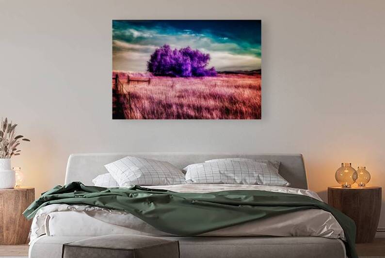 Amethyst Sanctuary by Dream World Images