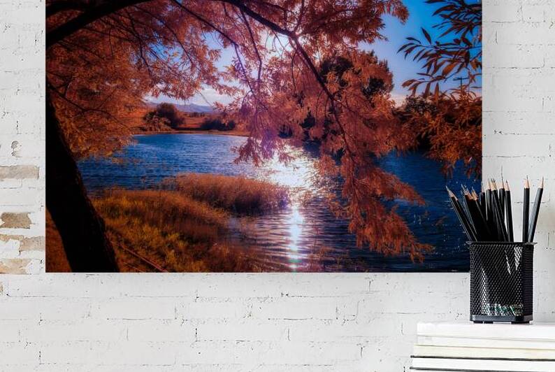 Copper Dreams at Lander Lake by Dream World Images