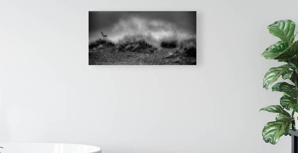 Contemplation Before the Storm by Dream World Images