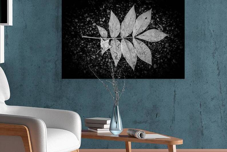 Natures Blueprint by Dream World Images