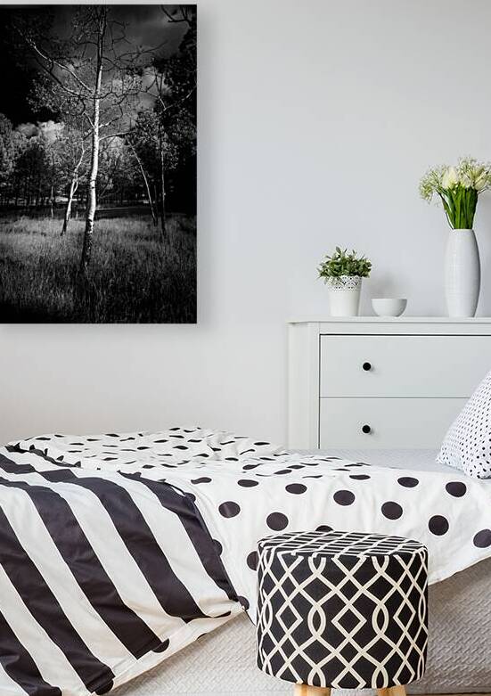 Aspen Reverie: Ansels Inspiration by Dream World Images