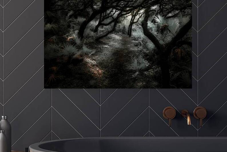 Arcadia’s Veil: The Secret Path by Dream World Images