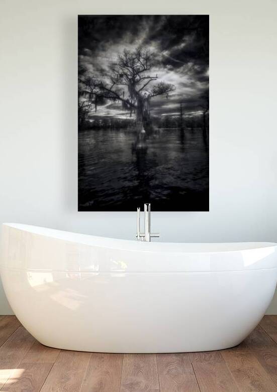 Oracle of the Flooded Forest by Dream World Images