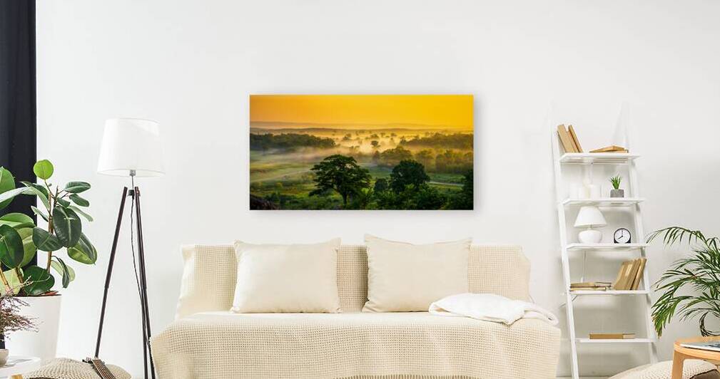 Foggy Bottom by Dream World Images