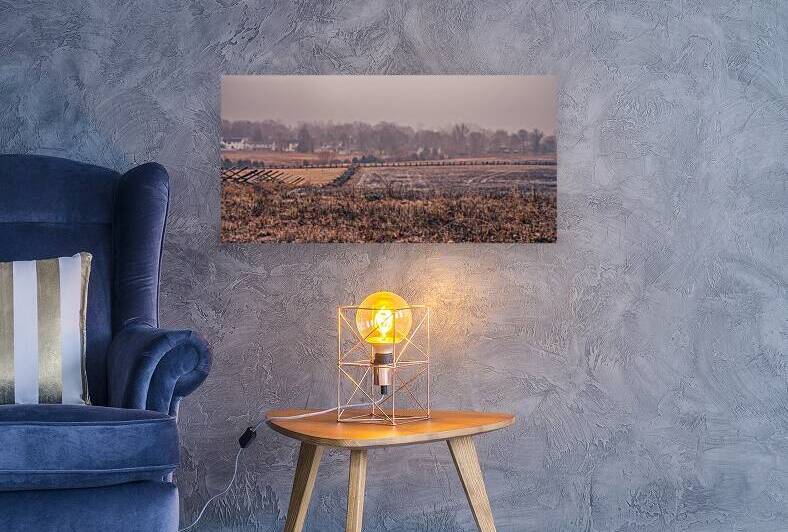 Oatmeal Fence by Dream World Images