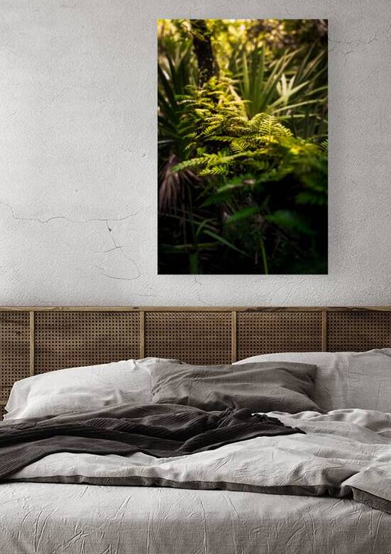 Emerald Awakening: Ferns in the Morning Light by Dream World Images
