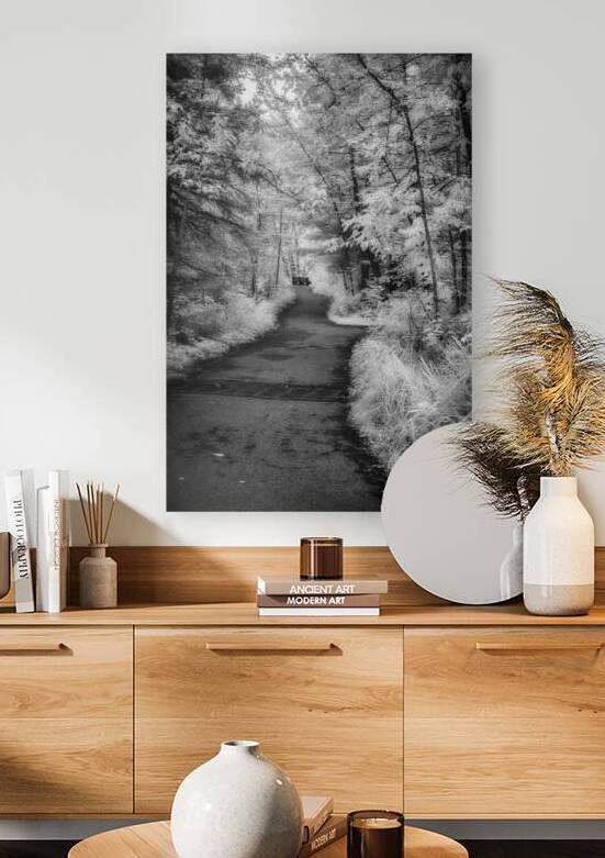 Path Through the Enchanted Forest by Dream World Images