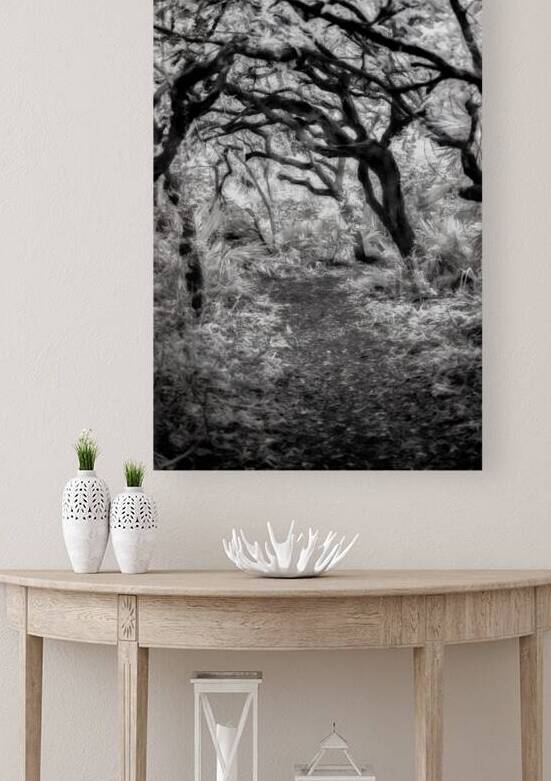 Twilight Reverie: Pathways in Shadow and Light by Dream World Images